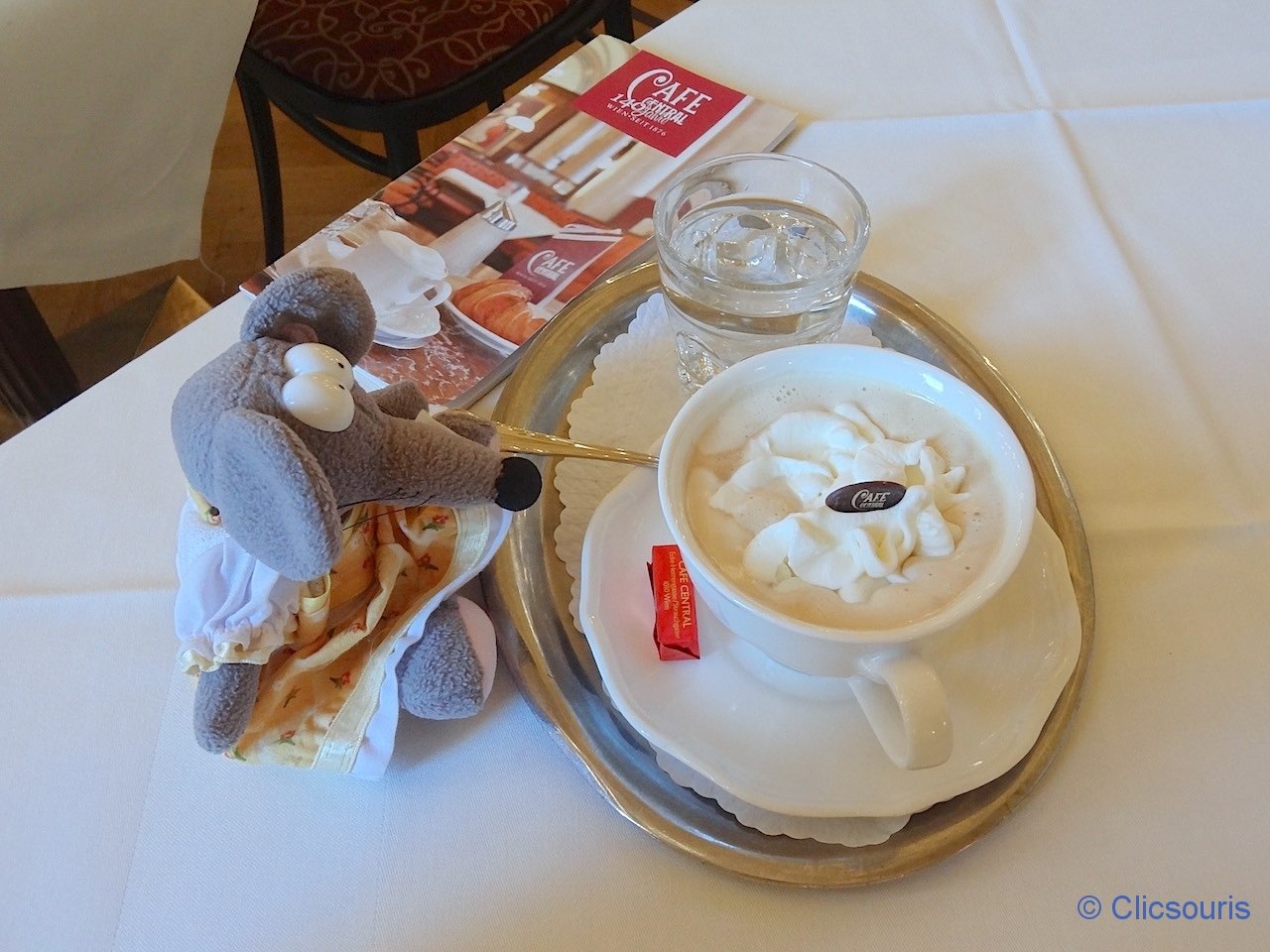 boisson au café central à Vienne