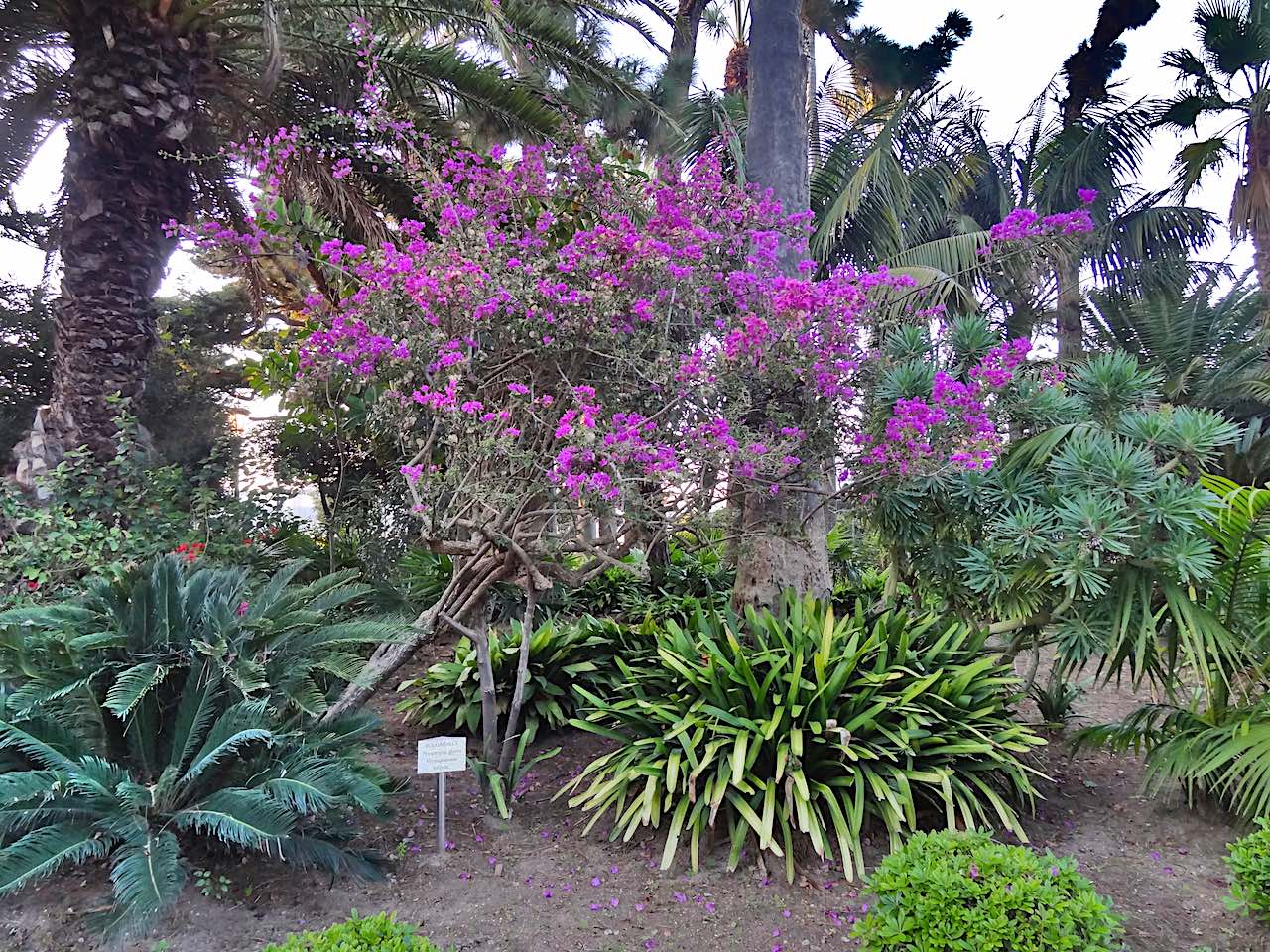 parque genoves de Cadix