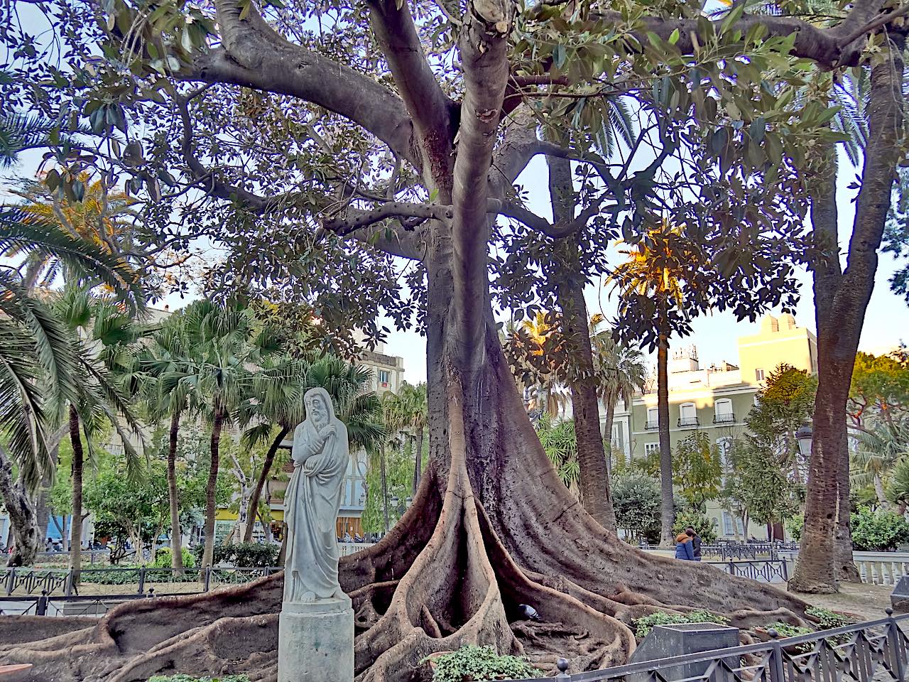 Plaza de Mina à Cadix