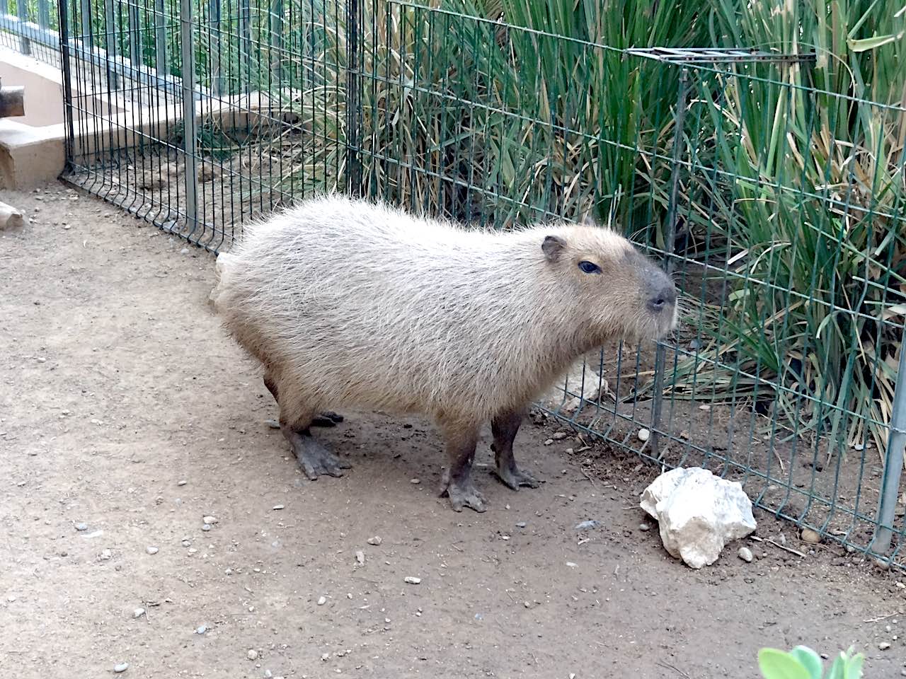 jardin animalier de Monaco