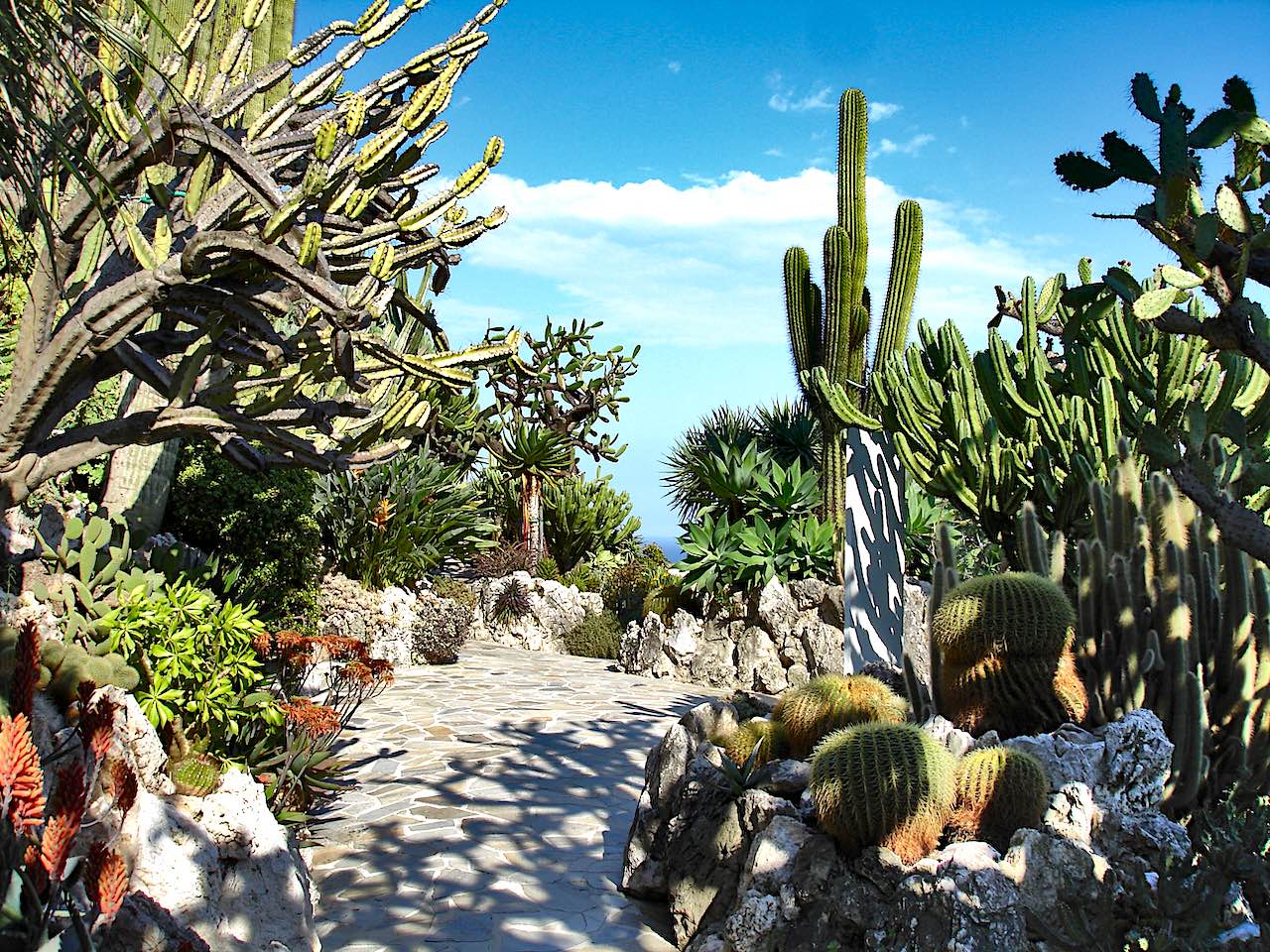 jardin exotique de Monaco