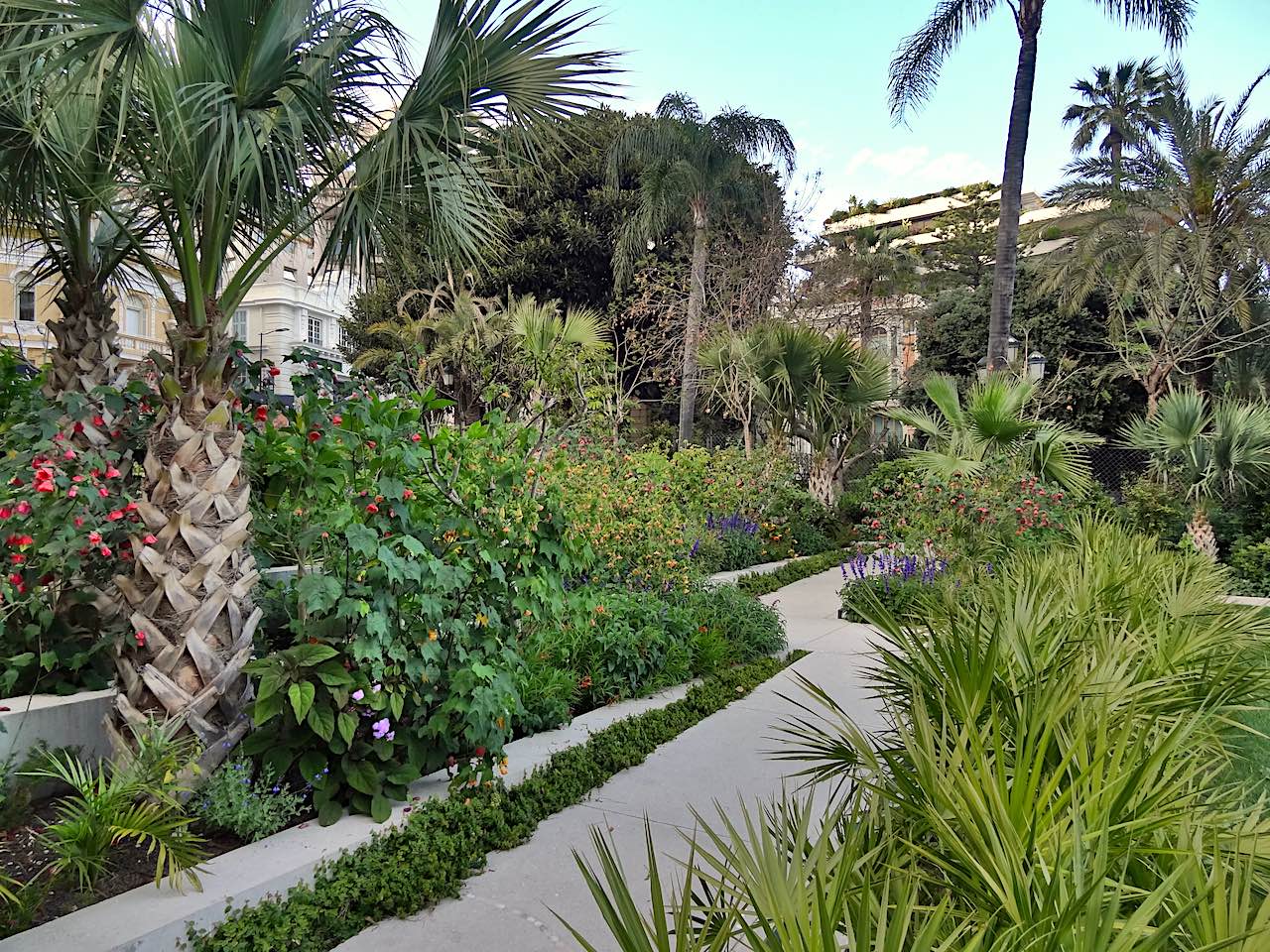 jardins Petite Afrique Monaco