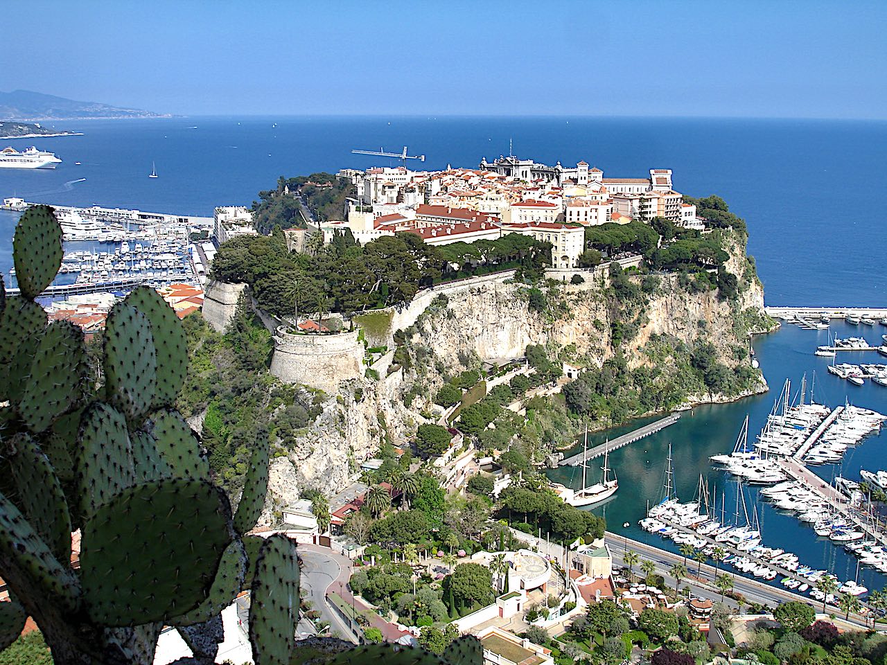 view of the rock from Monaco's exotic garden