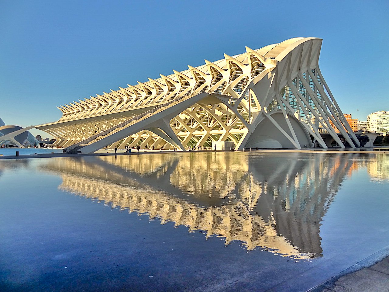 musée Felipe II cité des arts et des sciences de Valence