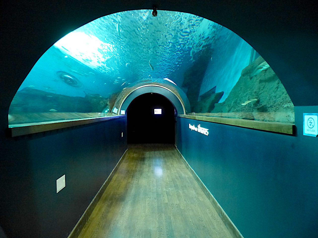 aquarium de Séville