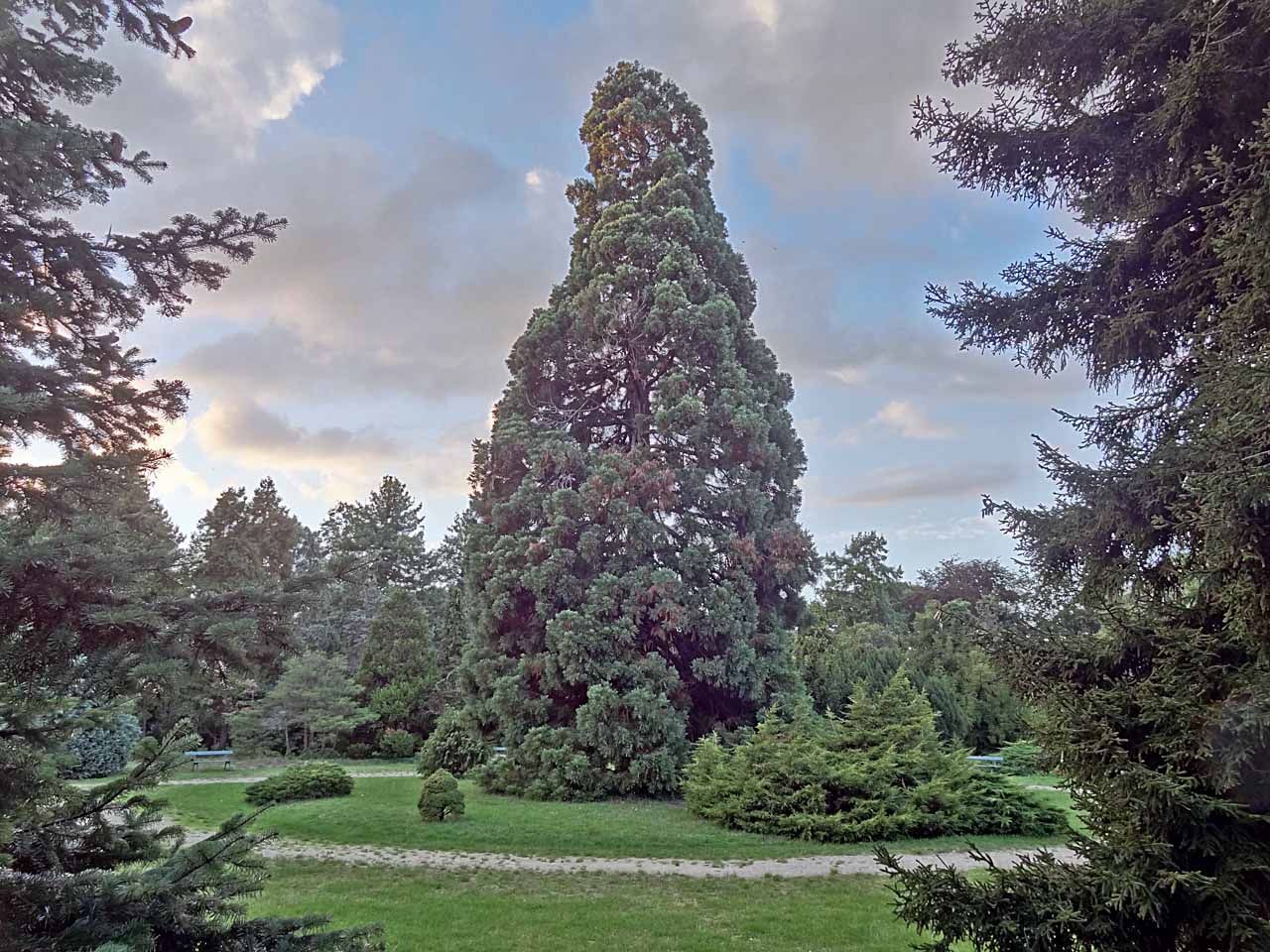Arboretum de Paris