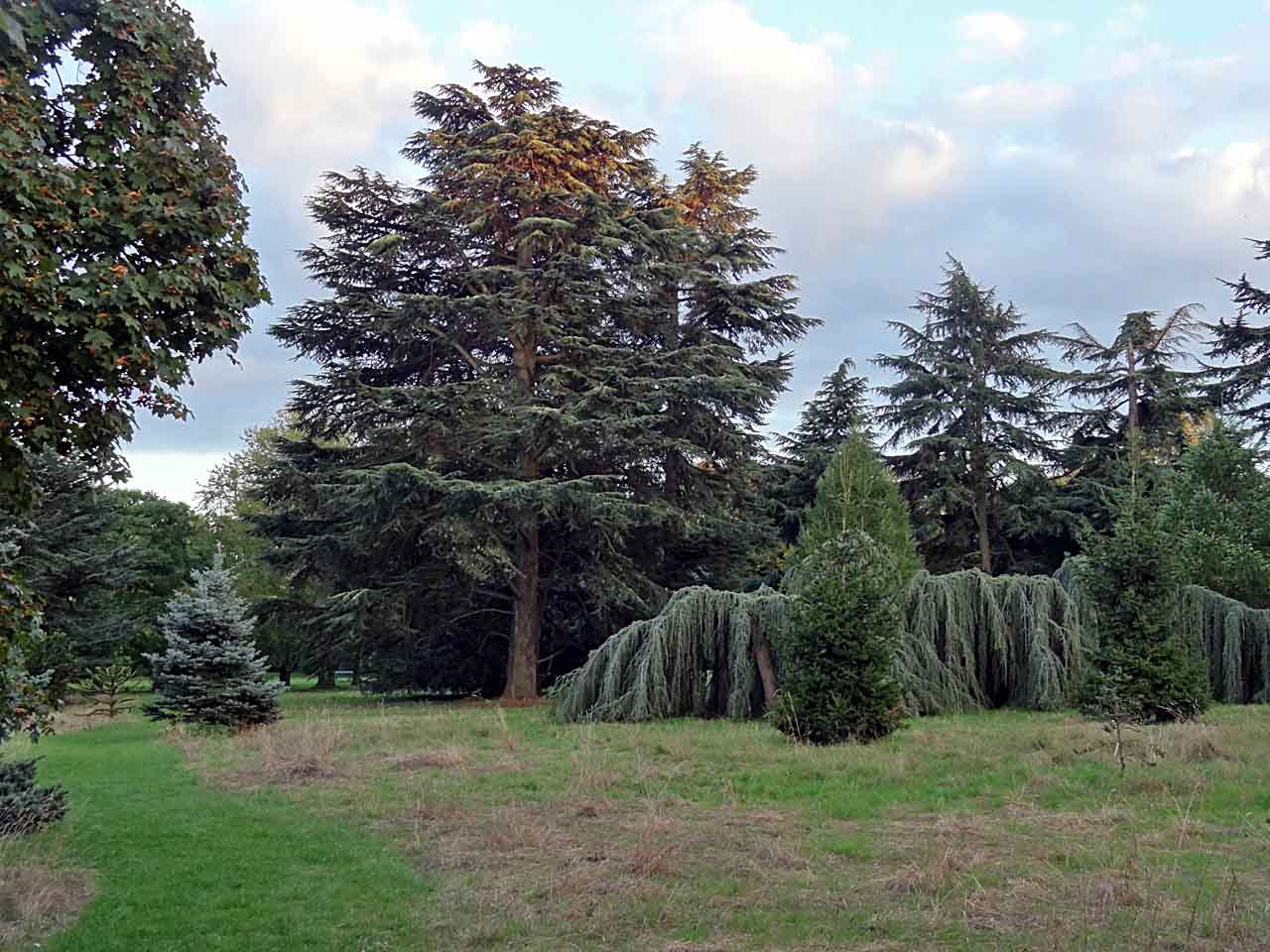 Arboretum de Paris