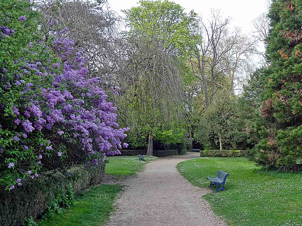 Jardin anglais du château de Saint-Germain-en-Laye