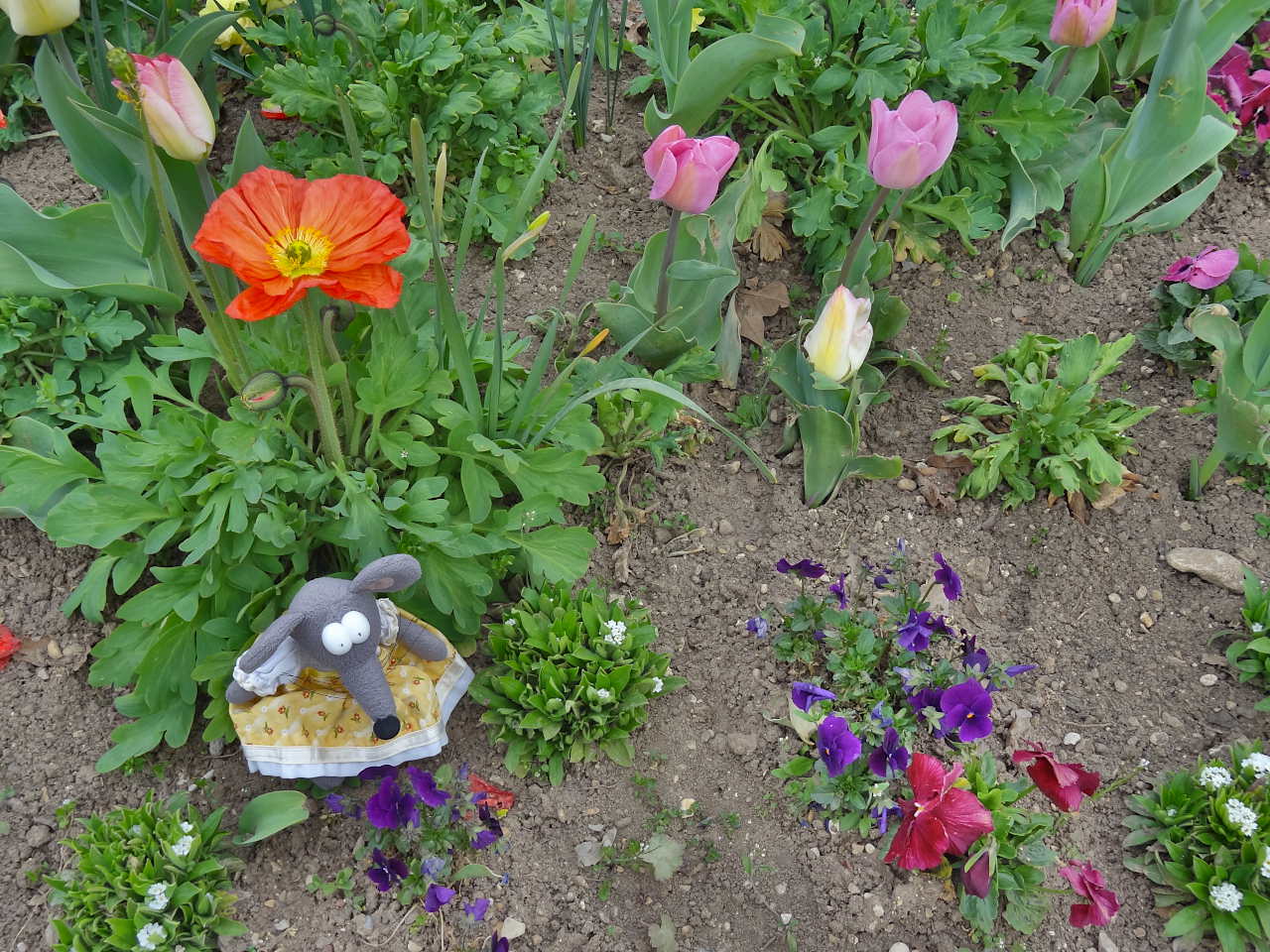 fleurs au parc de Bagatelle