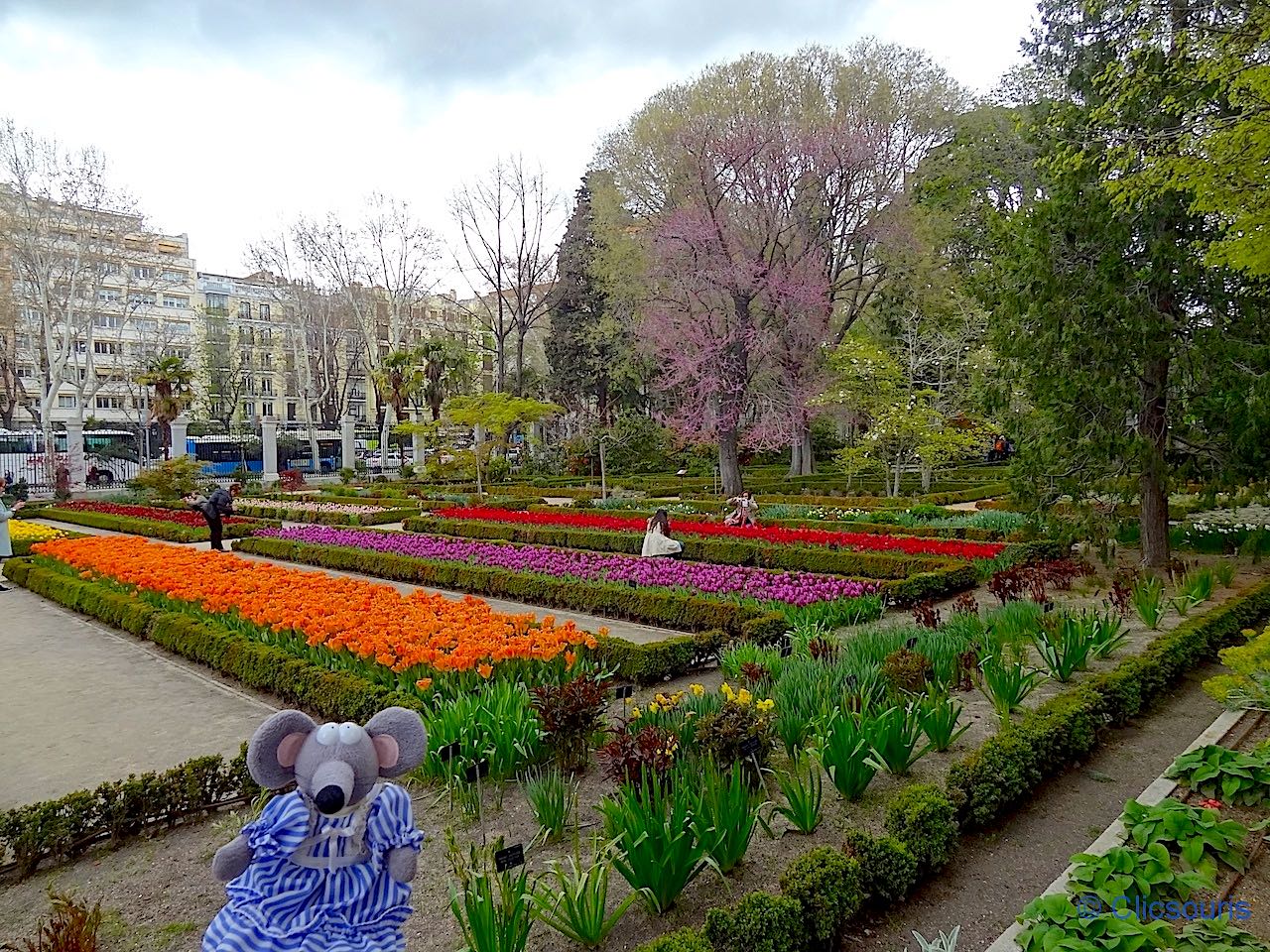 Jardin botanique de Madrid