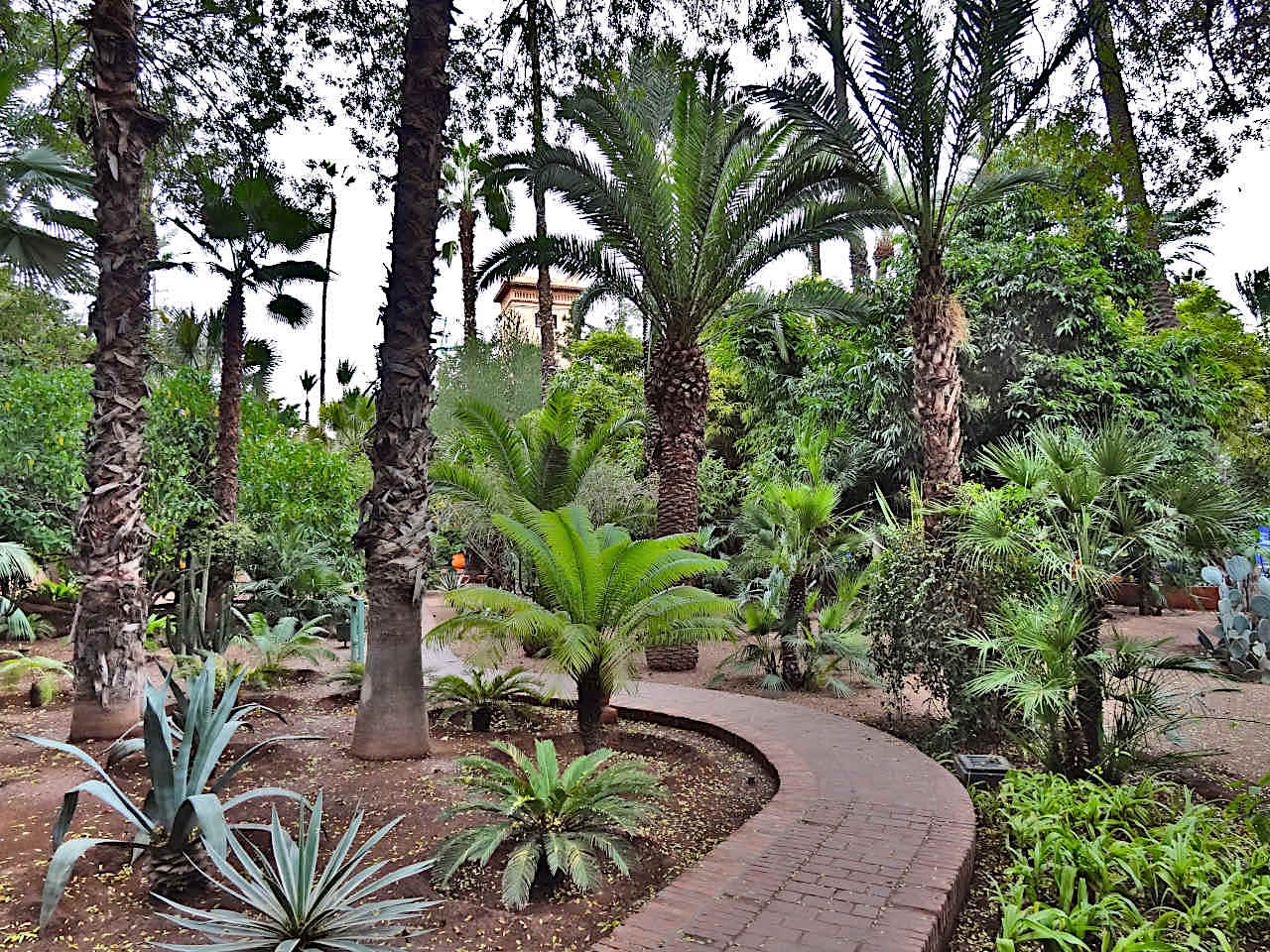 jardin Majorelle à Marrakech