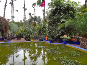jardin Majorelle à Marrakech