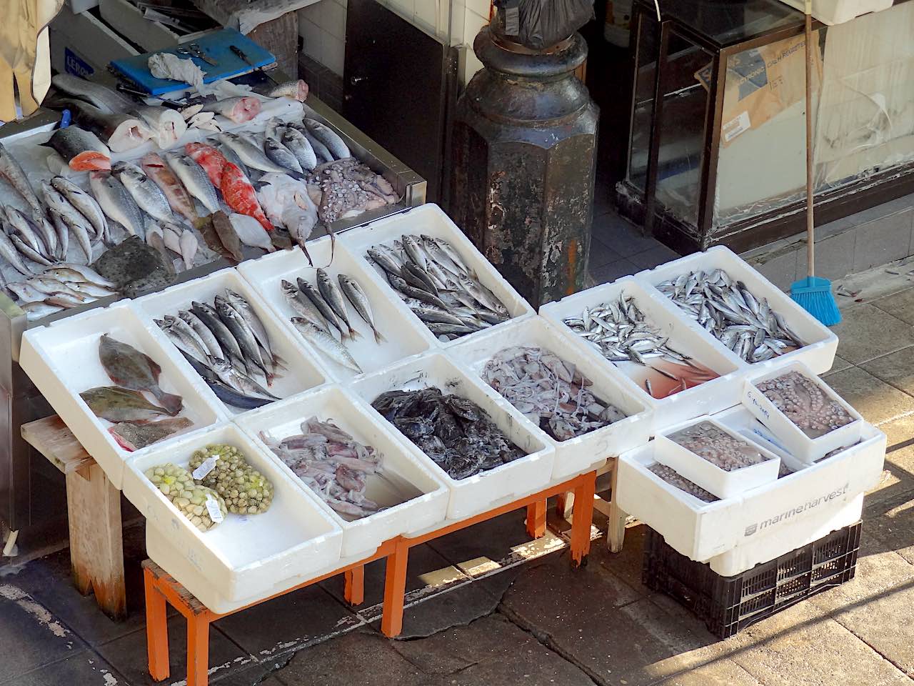 mercado do bolhao 