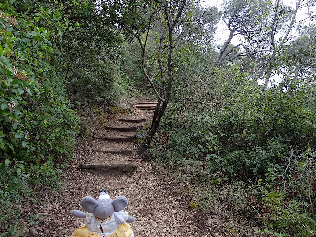 parc du vinaigrier