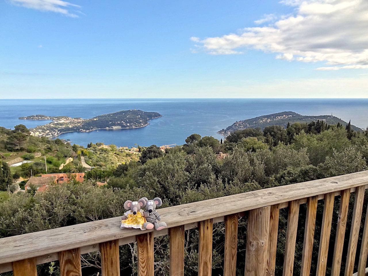 vue depuis le parc du vinaigrier