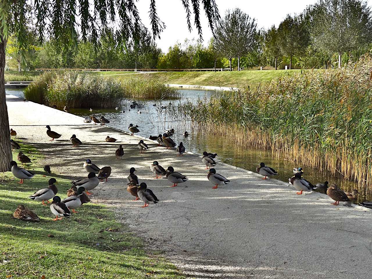 parque del agua de Saragosse