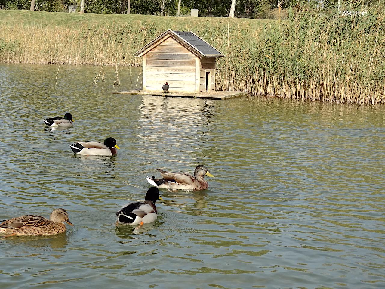 parque del agua de Saragosse