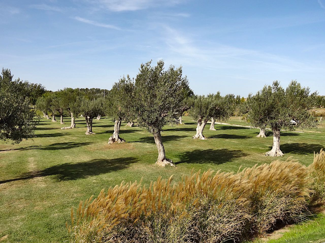 parque del agua de Saragosse