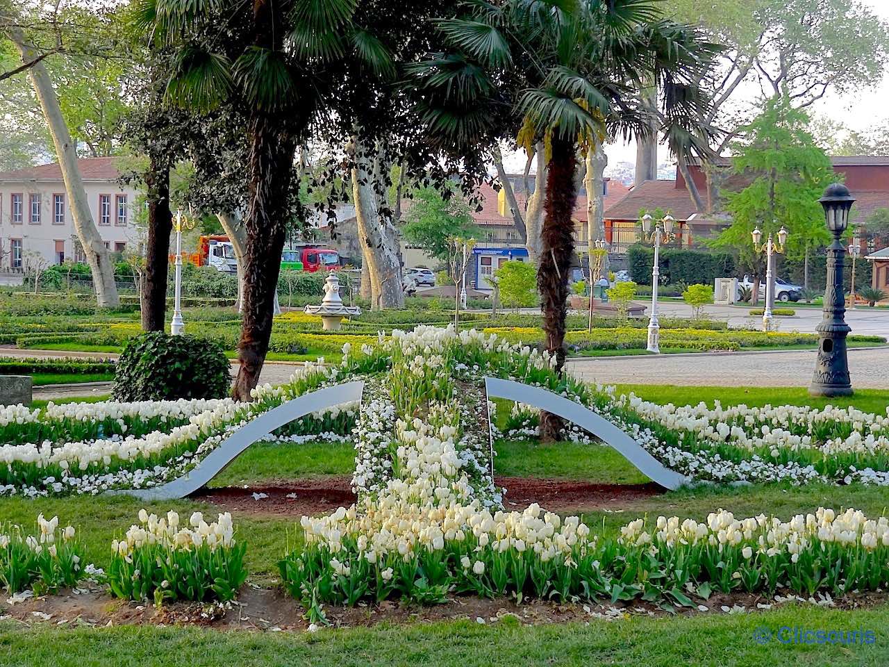 tulipes à Istanbul fin avril