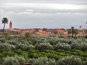 jardins de l'Agdal à Marrakech