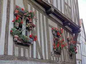 Maison fleurie, rue des Écuyers à Chartres