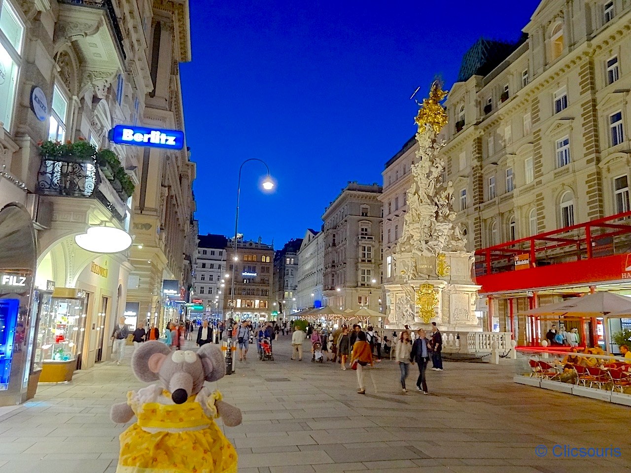 Le Graben à Vienne