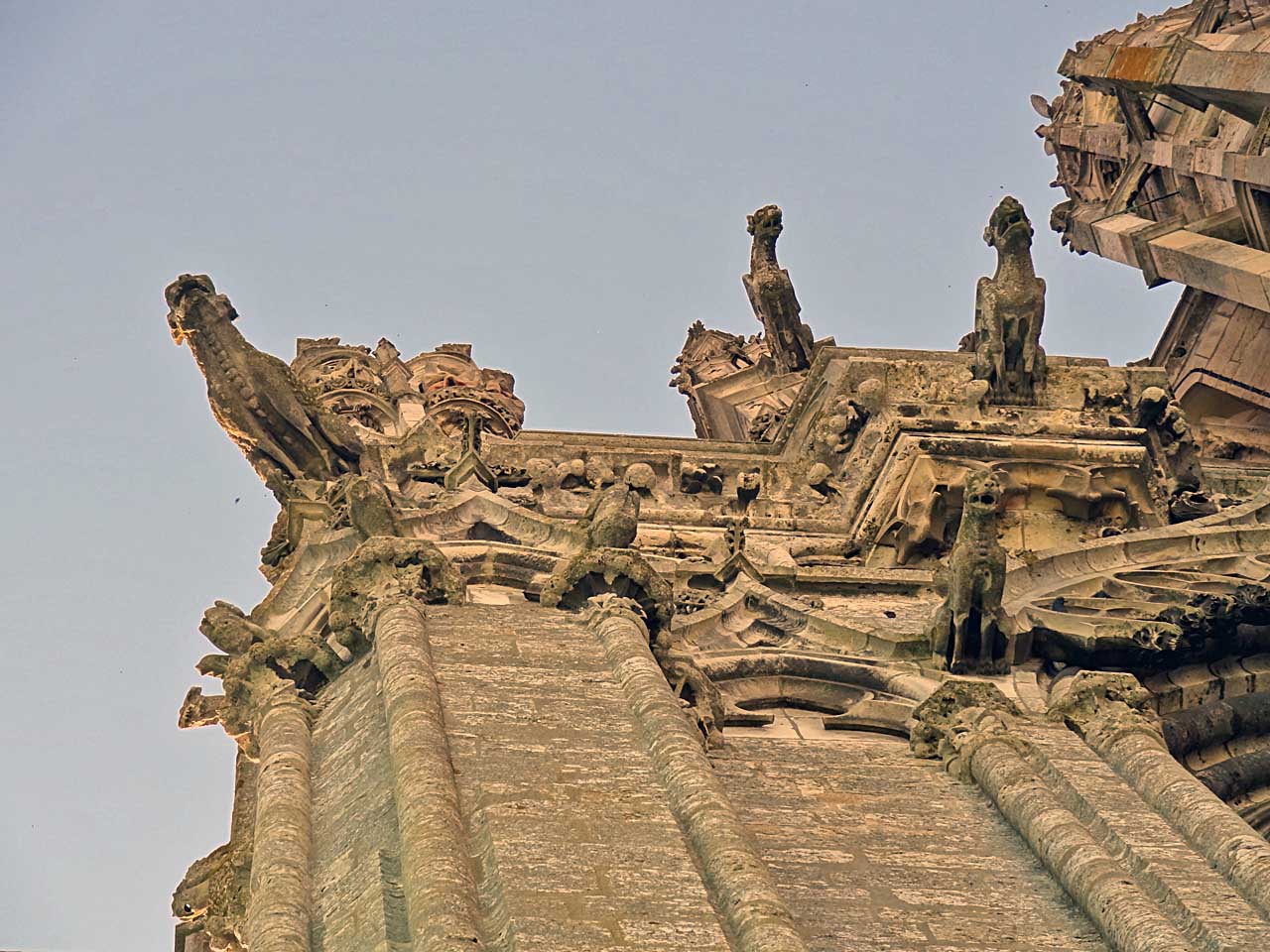 Gargouilles de la cathédrale de Chartres