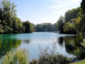 lac du parc de la tête d'or à Lyon