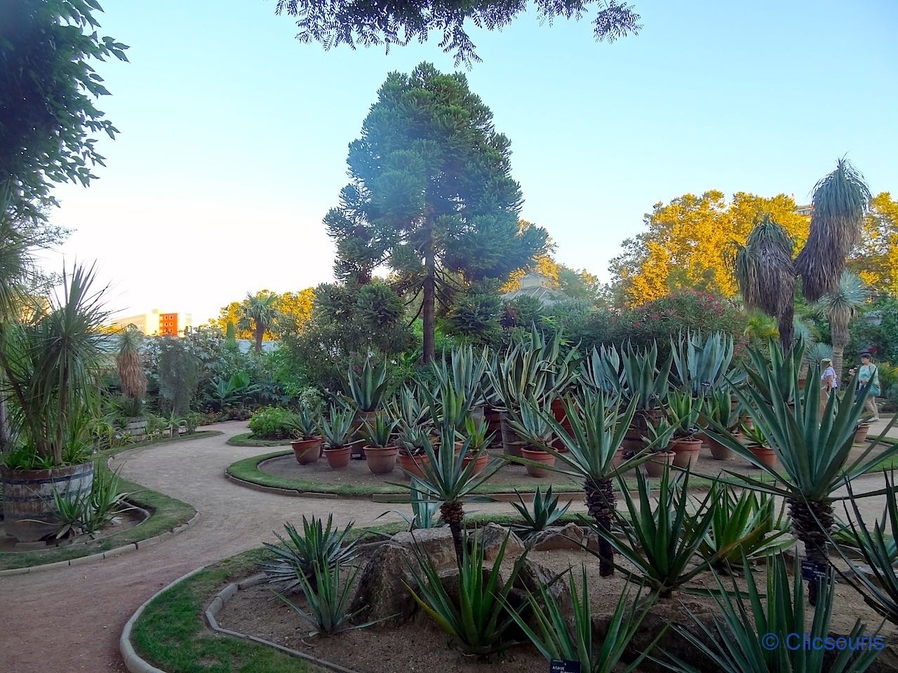 jardin botanique du parc de la Tête d'Or à Lyon