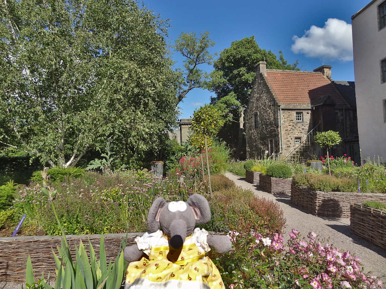 physic garden edimbourg