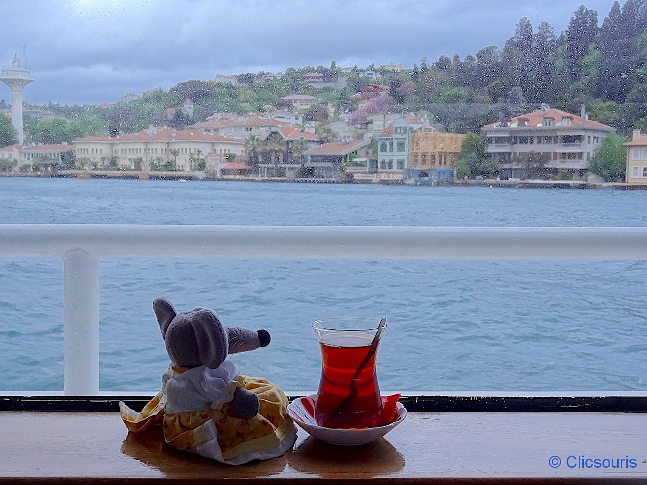 croisière sur le Bosphore