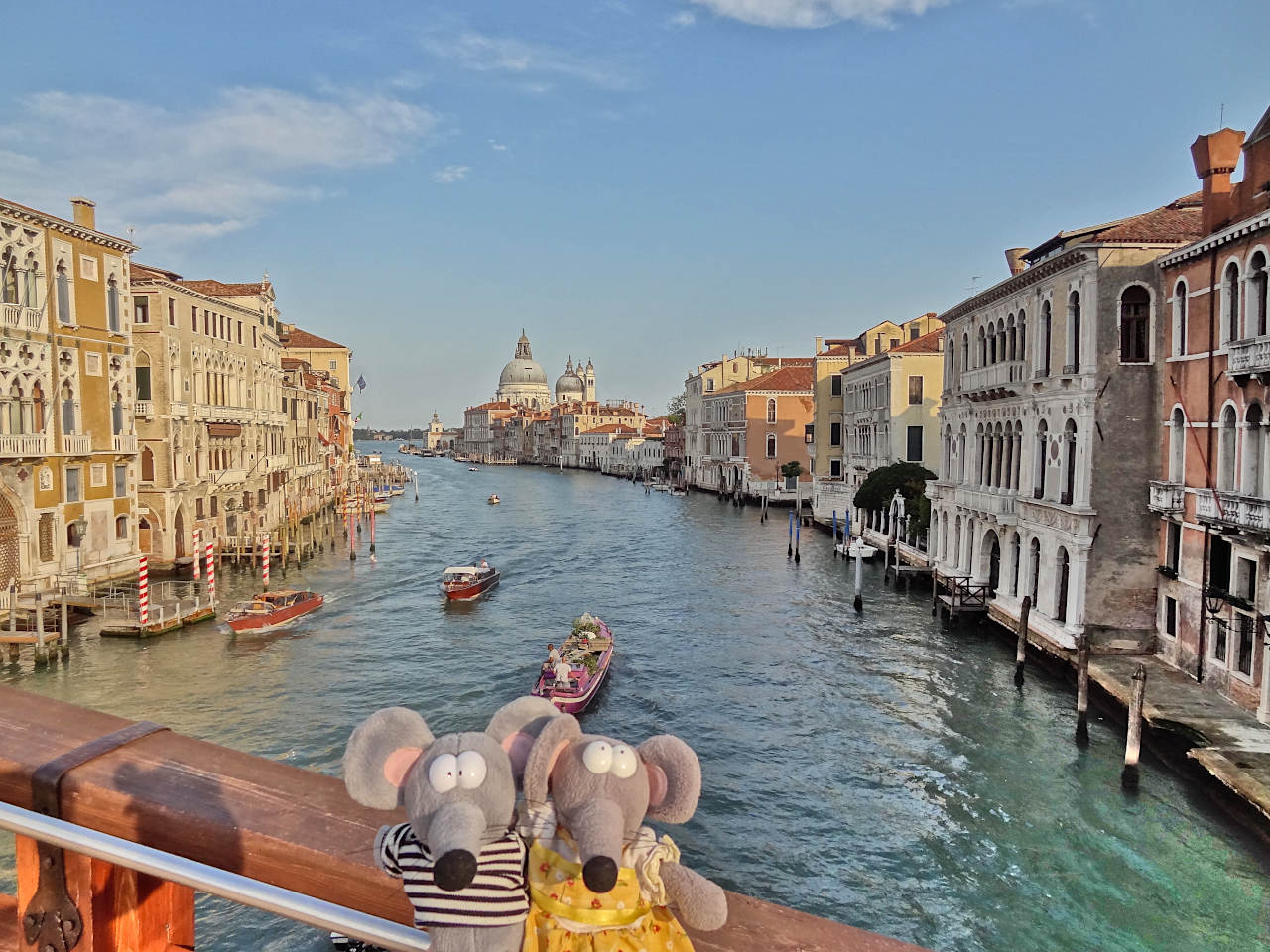 vue depuis le pont de l'Académie à Venise
