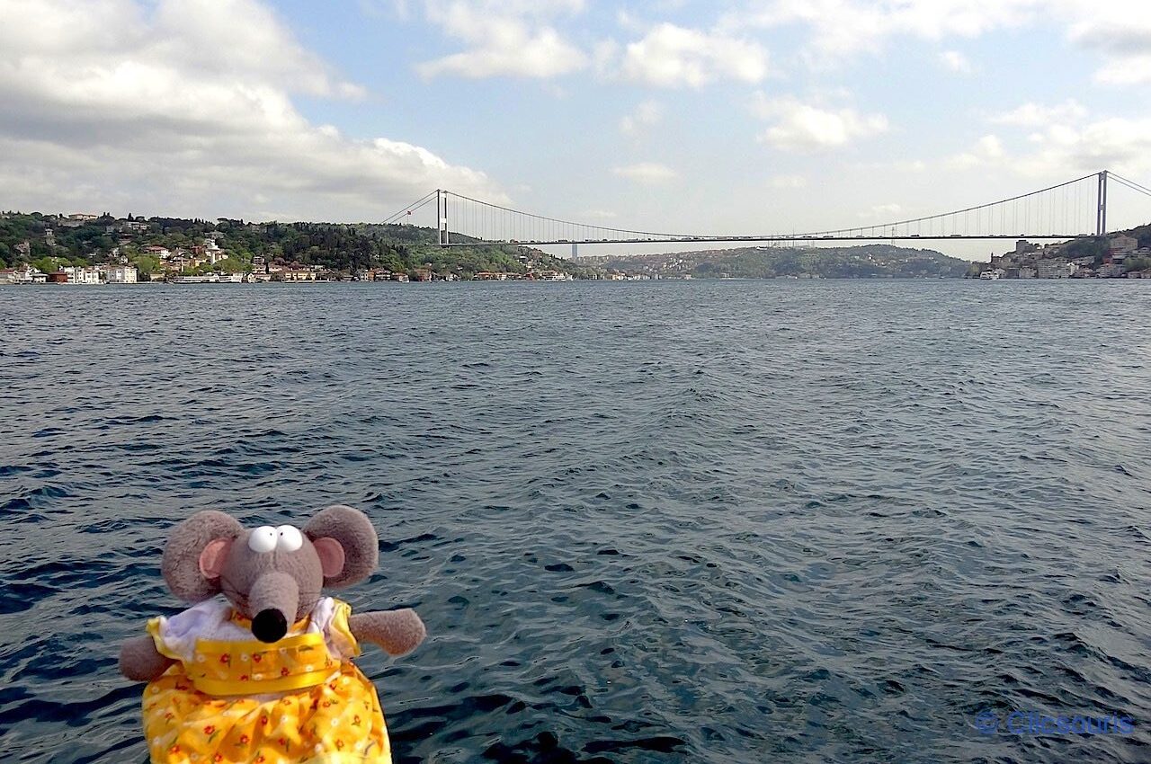 croisière sur le Bosphore