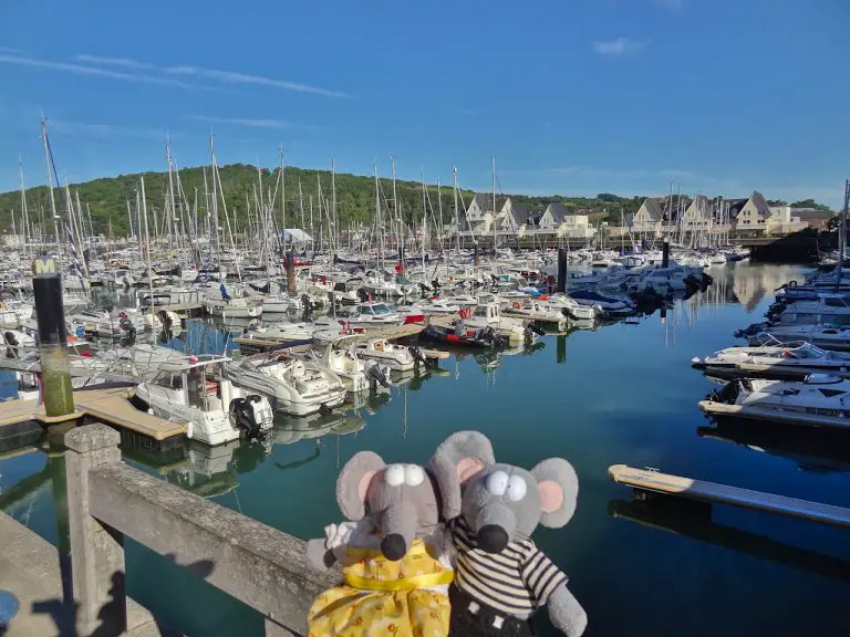 Que visiter, que voir, que faire à DivessurMer en 1 jour La souris