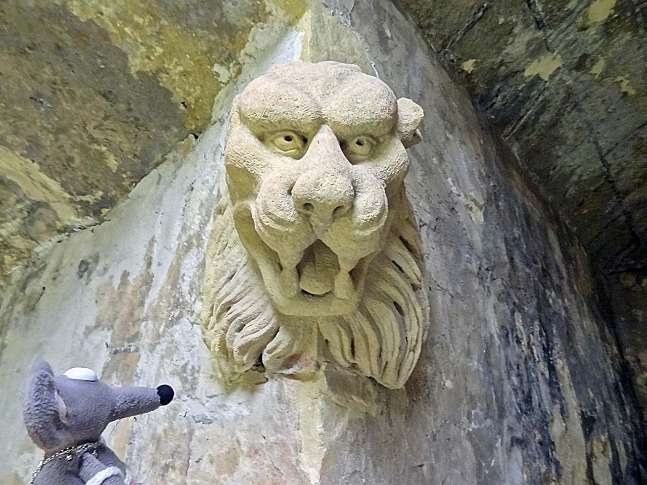 Lion dans la crypte de la basilique de Boulogne-sur-Mer