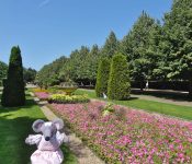 Regent's park Londres