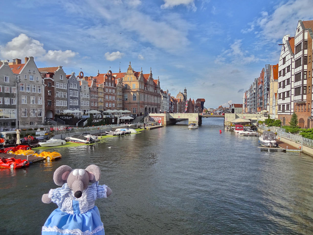 vue sur les quais de Gdansk