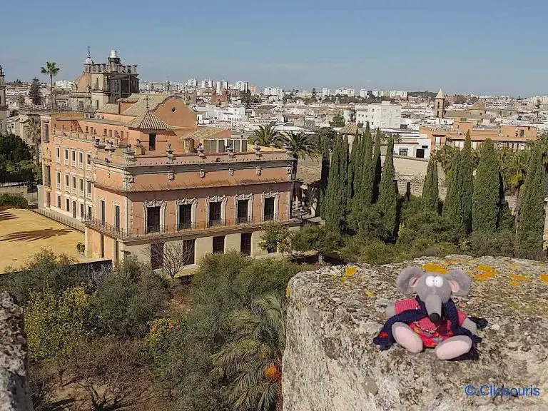 vue sur Jerez de la Frontera