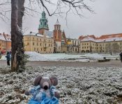 Cracovie sous la neige en novembre