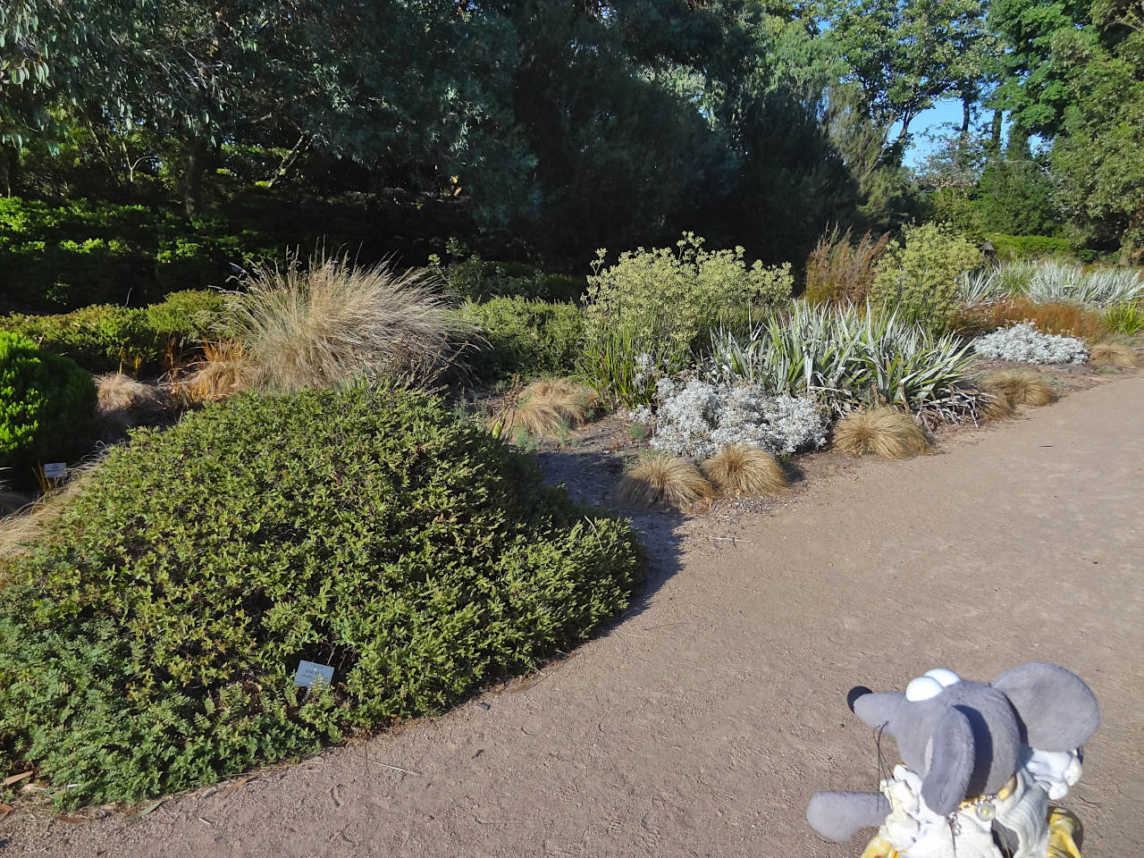 jardins suspendus du Havre