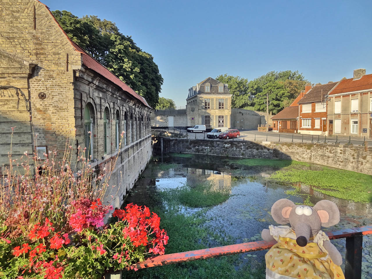 place du Marché-aux-Poissons de Bergues