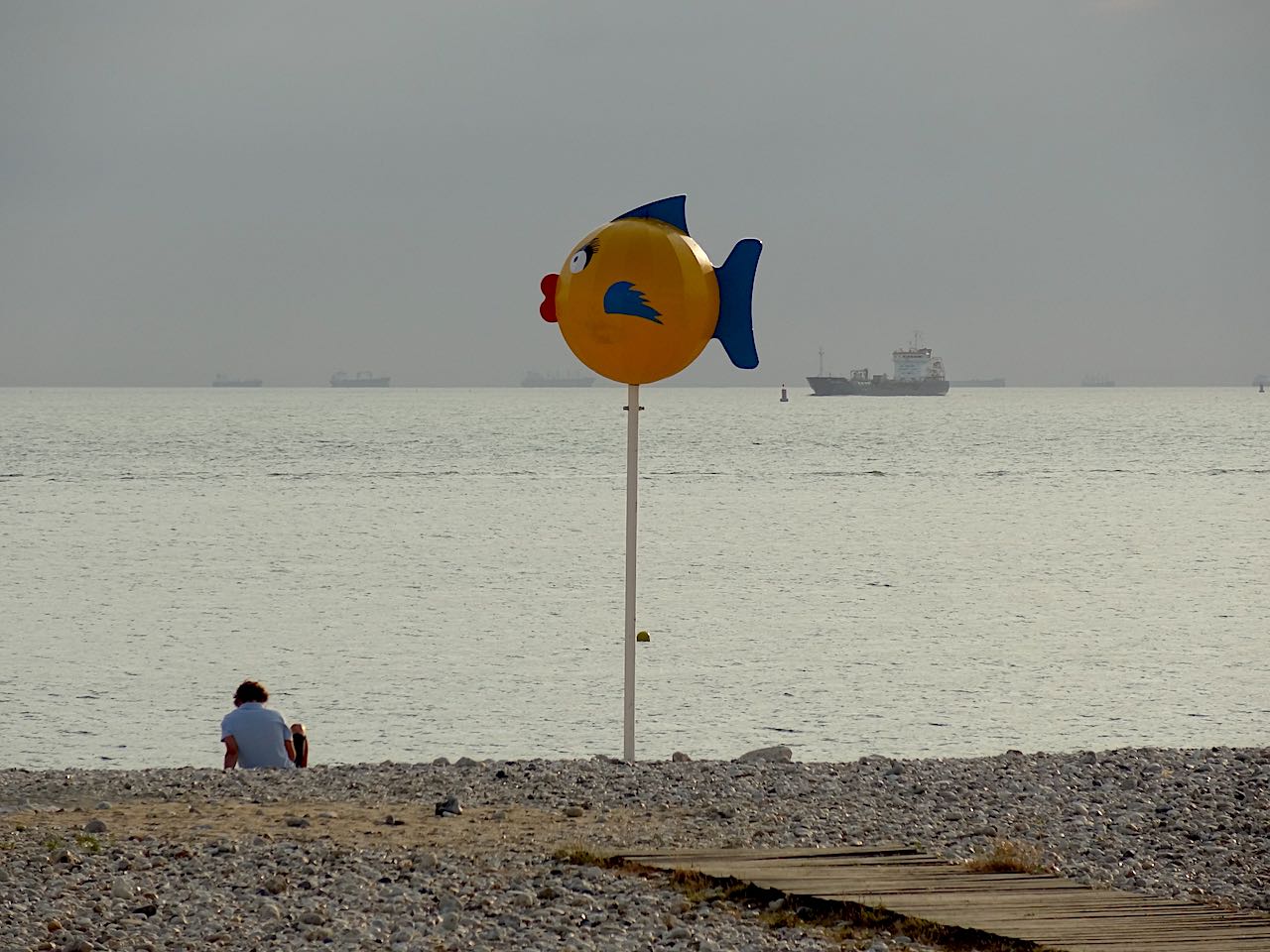 plage du Havre