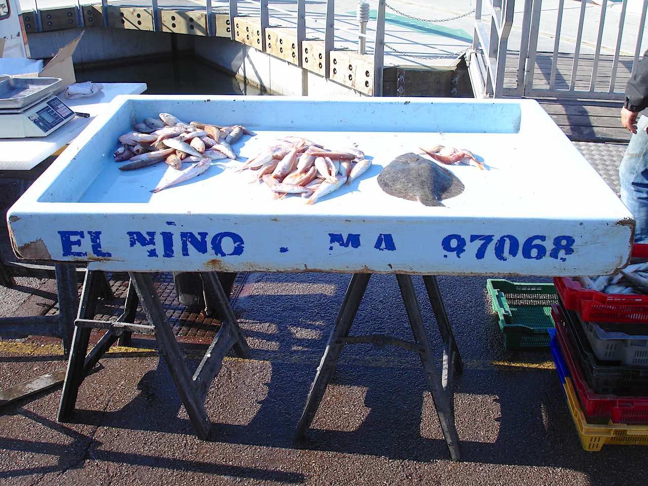 marché aux poissons du vieux port de Marseille