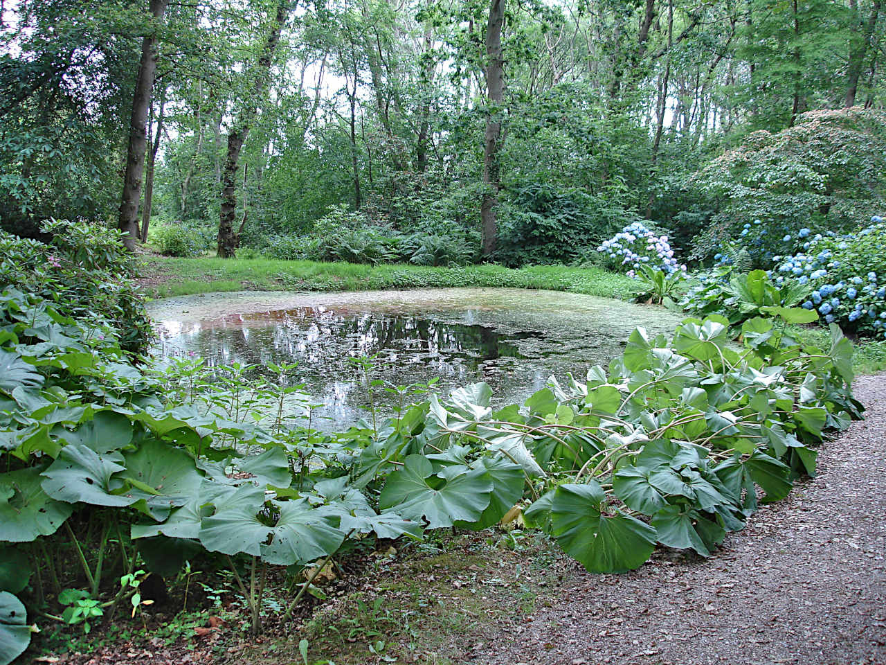 Bois des Moutiers