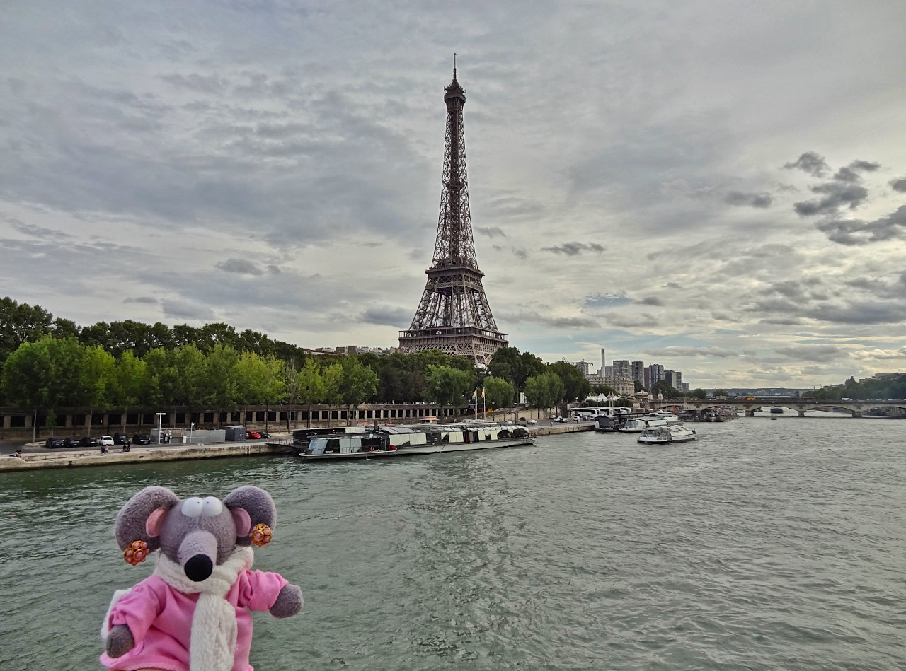 vue sur la Seine et la tour Eiffel