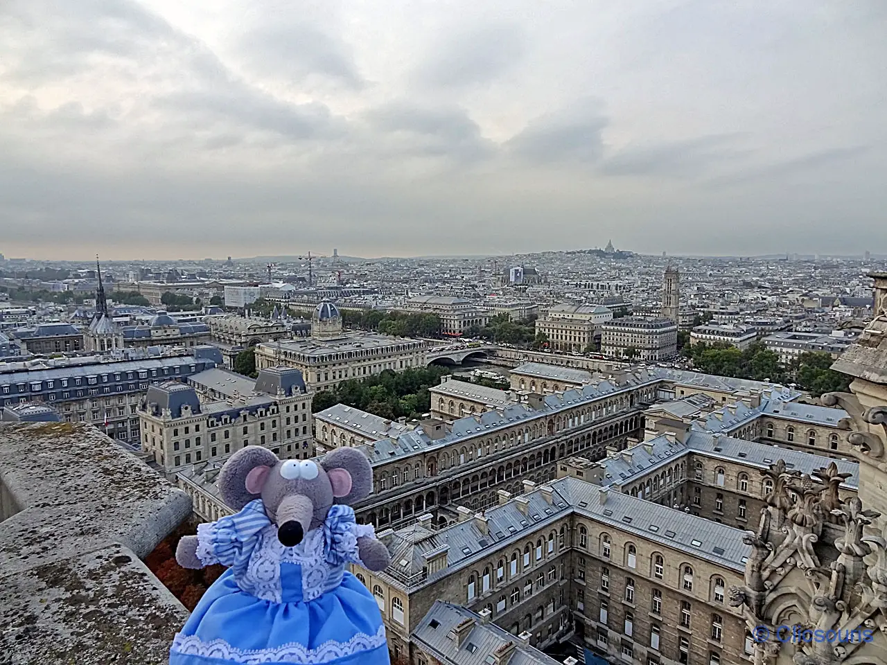 vue sur Paris depuis les tours de Notre-Dame