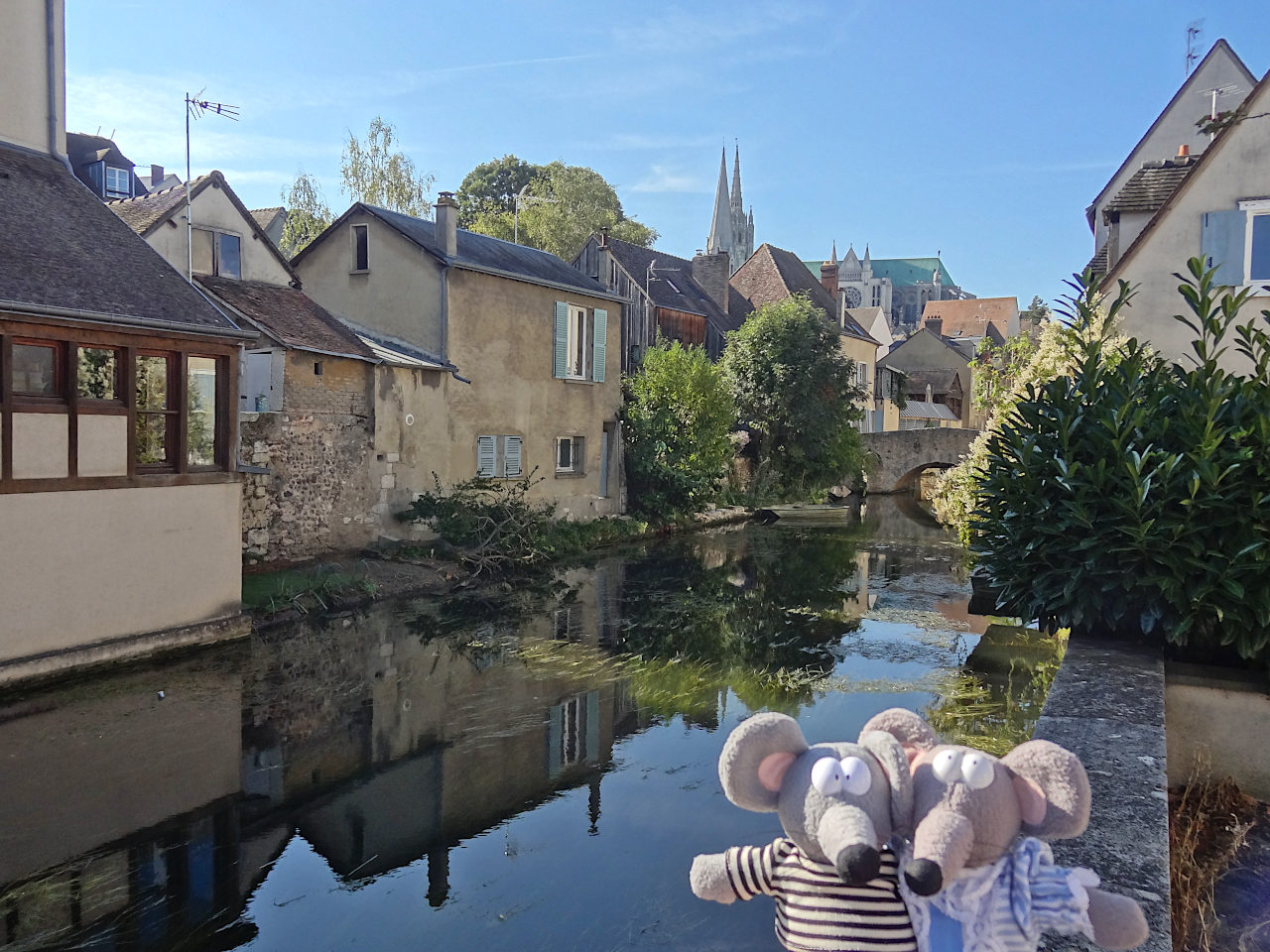 bord de l'Eure à Chartres