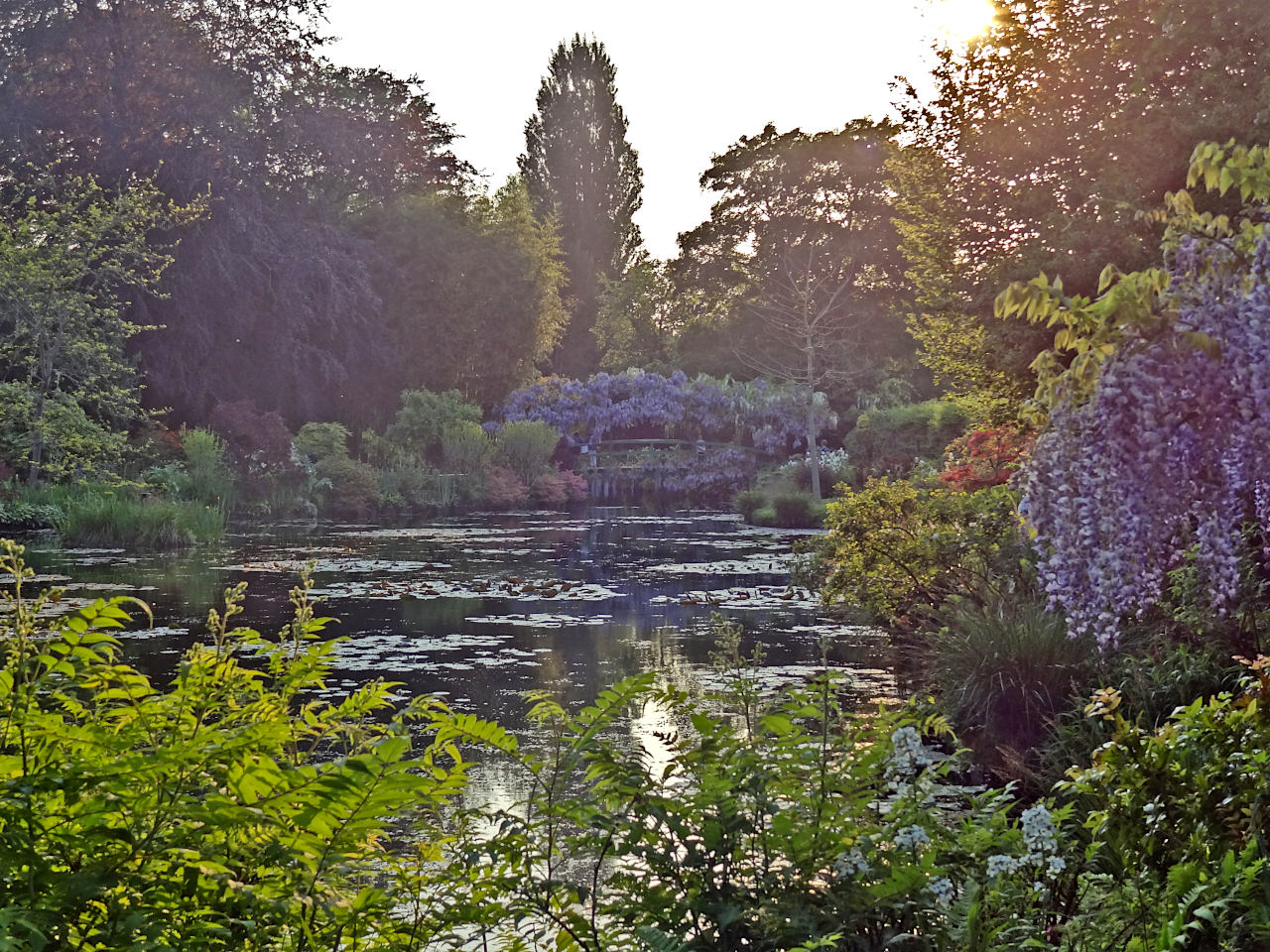 jardin de Claude Monet à Giverny