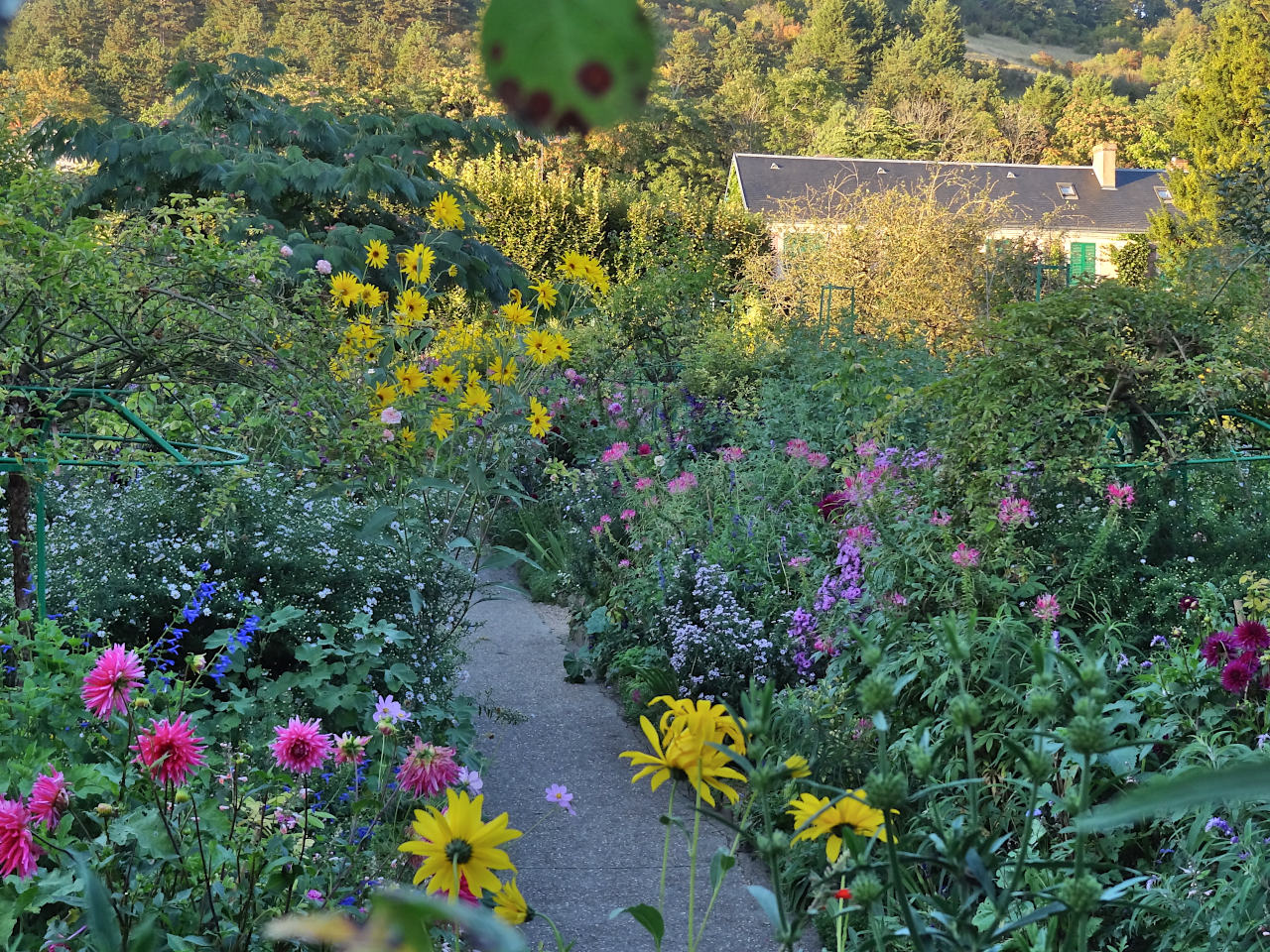 jardin de Claude Monet à Giverny