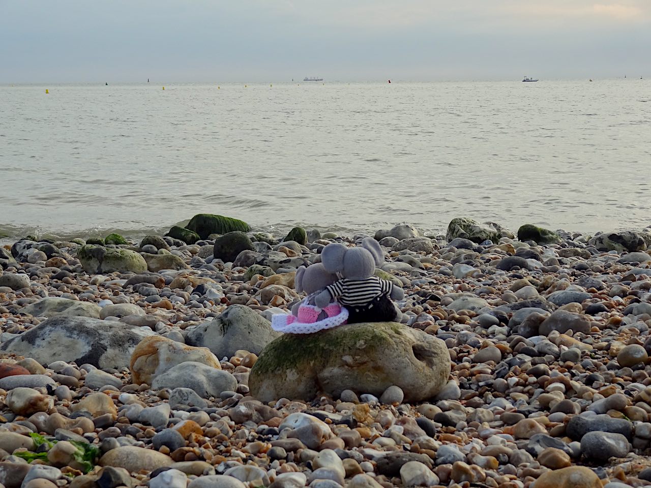 plage et galets du Havre